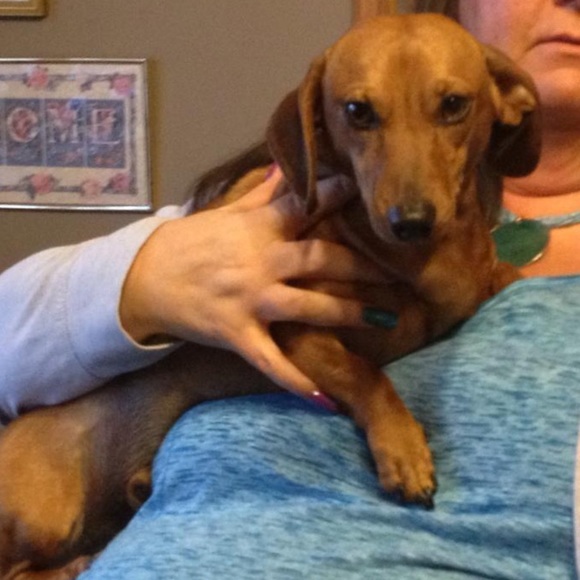 🐾Meet your Posher, Jacqueline🌞 - Picture 11 of 16